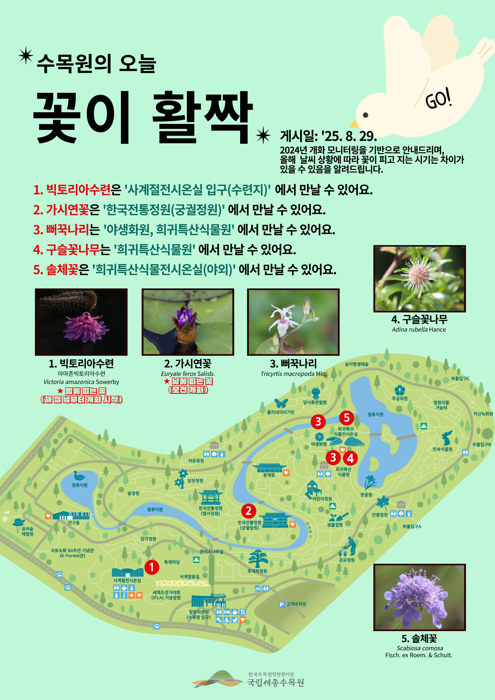 국립세종수목원 개화소식(25-14).jpg