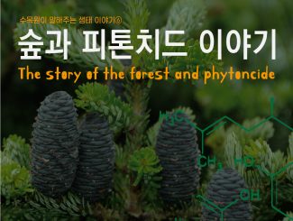 생태이야기 ⑦ 숲과 피톤치드 이야기_썸네일.png